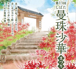 2025年第13回しばた曼殊沙華まつり、約50万本の曼珠沙華（ヒガンバナ