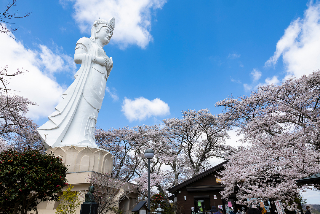 しばた桜まつりで必ず見たいスポット4選 - 柴田町観光物産協会