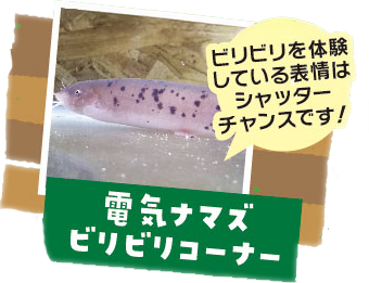 追加アイテム6