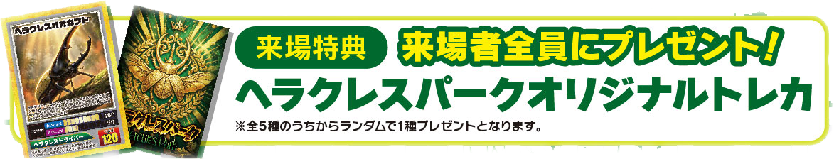 追加アイテム9
