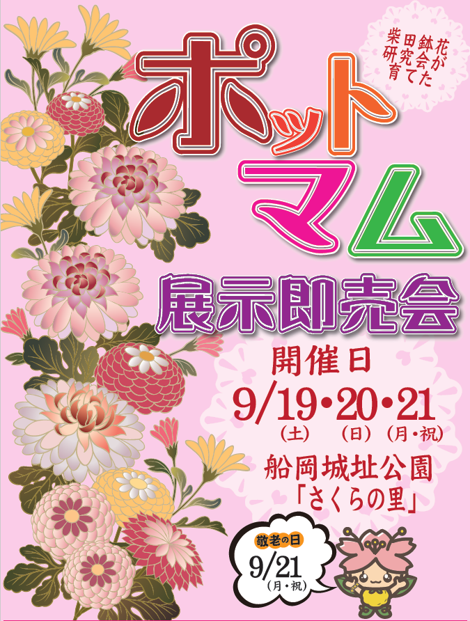 ポットマム展示即売会 告知フライヤー