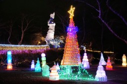 Winter Illumination Photo 4