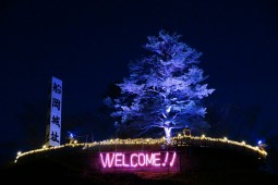 Winter Illumination Photo 8