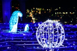 Winter Illumination Photo 1