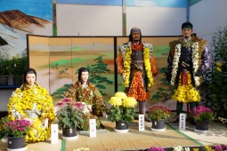 Miyagi Chrysanthemum Exhibition Shibata Tournament Photo 4