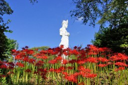 Funaoka Peace Kannon photo