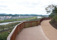 a "Momi no ki wa nokotta" observation deck photo