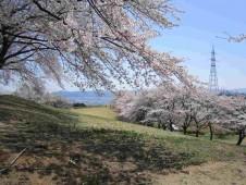 Taiyo no Mura photo 11