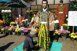 Cuộc thi Shibata Triễn lãm Hoa cúc Miyagi ảnh 12