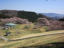 Taiyo no Mura photo 10