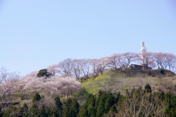 船岡城址公園 照片