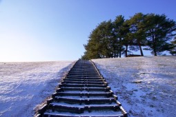 柴田町 太阳之村 照片 9