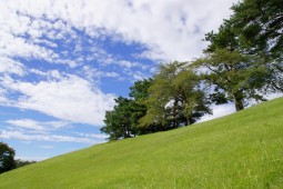 柴田町 太阳之村 照片 5