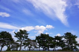 柴田町 太阳之村 照片 3