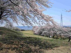 柴田町 太阳之村 照片 11