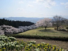 柴田町 太阳之村 照片 11